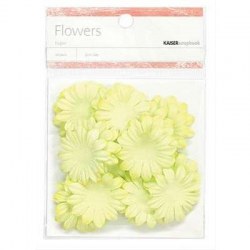 Fleurs LIME 3.5cm - Kaisercraft