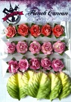 Mini roses ROSE - Ohlala
