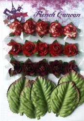 Mini roses ROUGE - Ohlala