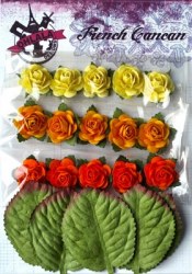 Mini roses ORANGE - Ohlala