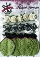 Mini roses NOIR - Ohlala
