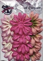 Fleurs LONGS PETALES ROSE ANCIEN - Ohlala