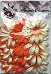 Fleurs LONGS PETALES ORANGE - Ohlala