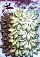 Fleurs LONGS PETALES VERT BRUN - Ohlala
