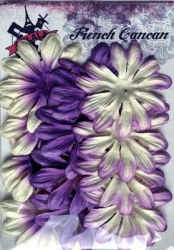 Fleurs LONGS PETALES VIOLET - Ohlala