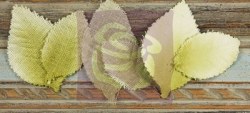 Feuilles CALCUTTA WILLOW - Prima