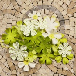 E line flowers GREEN - Prima