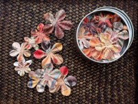 Artistry flowers MINI TIN PELAS - Prima