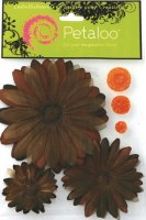 Layered daisies CHOCOLATE - Petaloo
