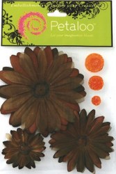 Layered daisies CHOCOLATE - Petaloo