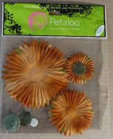 Fleur SUNBURST BROWN/GREEN - Petaloo