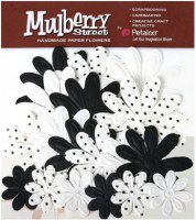 Fleurs EMBOSSED DAISIES Black - Petaloo