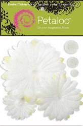 Fleurs GLITTER DAISY PEEL blanches - Petaloo