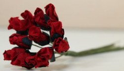 Bouquet 12 PETITE ROSEBUD RED