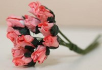 Bouquet 12 PETITE ROSEBUD CHAMPAGNE PINK