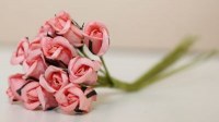 Bouquet 12 ROSEBUD CHAMPAGNE 