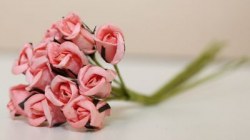 Bouquet 12 ROSEBUD CHAMPAGNE 