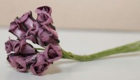 Bouquet 12 ROSEBUD MULBERRY