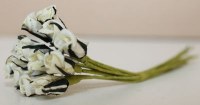 Bouquet 12 ROSEBUD CREAM 