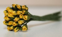 Bouquet 24 MINI ROSEBUD YELLOW