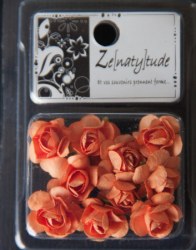 10 fleurs SHABBY ORANGE - Zenatytude