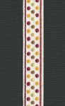 Ruban Varsity polka dots - Maya Road