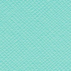 Bazzil DRAGONFLY/CRISS CROSS 
