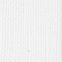 Bazzill WHITE / CANVAS