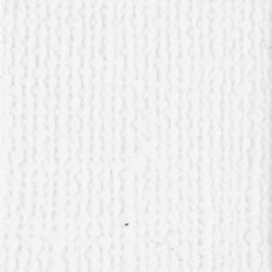 Bazzill WHITE / CANVAS
