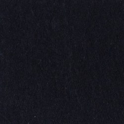 Bazzill BLACK lisse