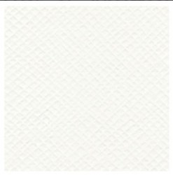 Bazzill LILY WHITE / CRISS CROSS