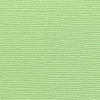 Cardstock Pomme verte - Gaïa