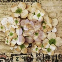 Fleurs PAINTERLY PETALS HYDRANGEAS TAN - Prima