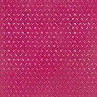 Homo scrapiens n°6 - I lowe scrap