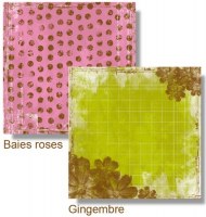 {Cocktail épicé}Baies roses/Gingembre - Ohlala designs