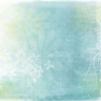 {Bulle de fraicheur}IPB - Scrapinerie