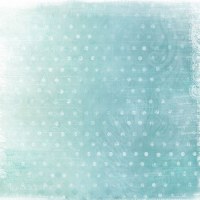 {Bulle de fraicheur}FB1 - Scrapinerie