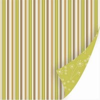 Dill Blossom - Carraway - SEI