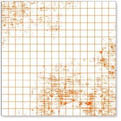 Transparent 3/4 GRAPH ORANGE - Hambly