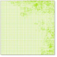 Transparent MINI GRAPH LIME GREEN - Hambly