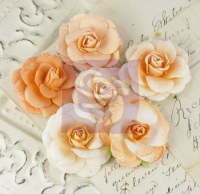Fleurs LOVE LETTERS ROSES TIGER EYES - Prima