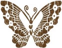 Transparent Carefree - Papillon CHESNUT - Heidi Swapp