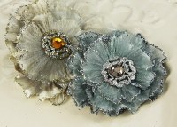 Fleurs ROSETTI ROSES LOLA - Prima