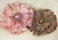 Fleurs ROSETTI ROSES GRACE - Prima