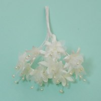 Bouquet 12 branches BABYS BREATH CREAM