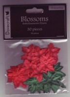 30 fleurs POINSETTIA