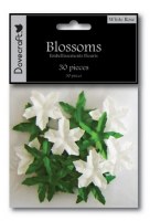 30 fleurs WHITE ROSE